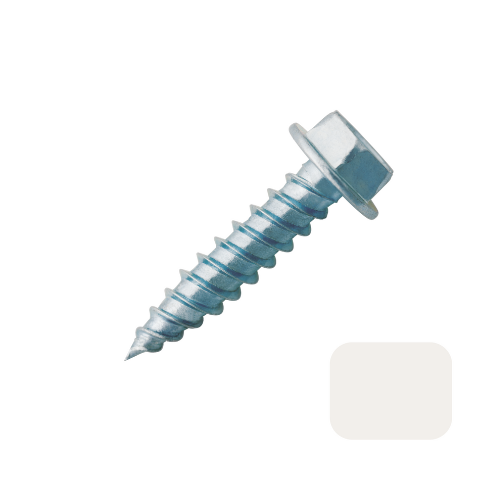 Screws - SS #8 x  1" White (500/Tub)  [100-082]